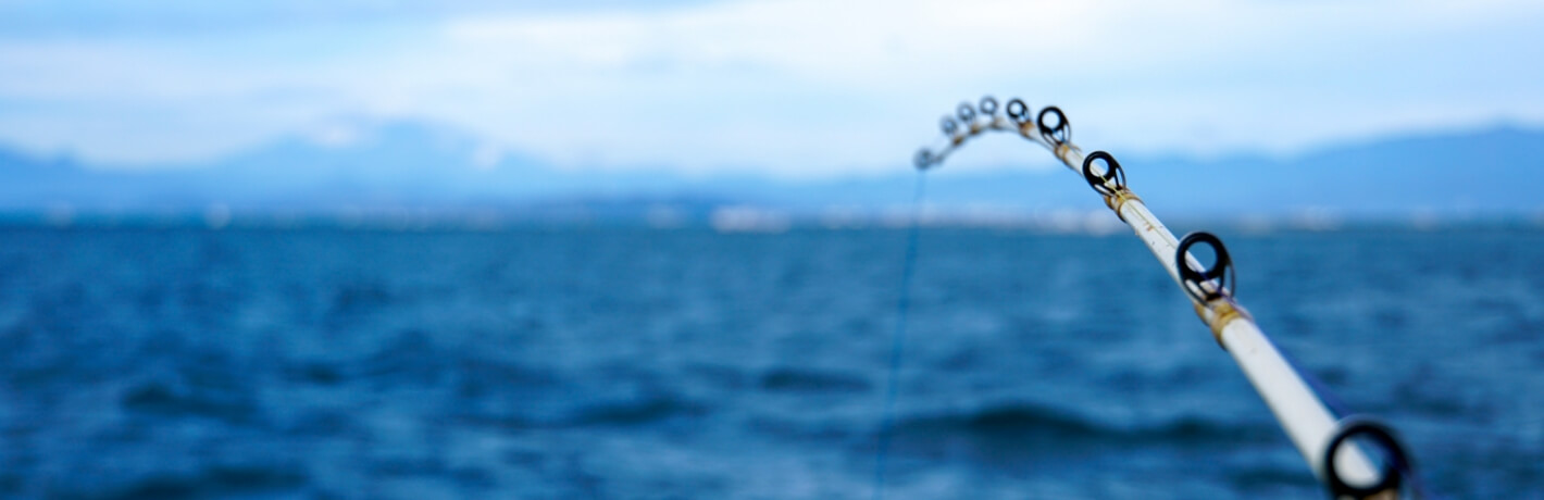 フィッシングアリーズについて