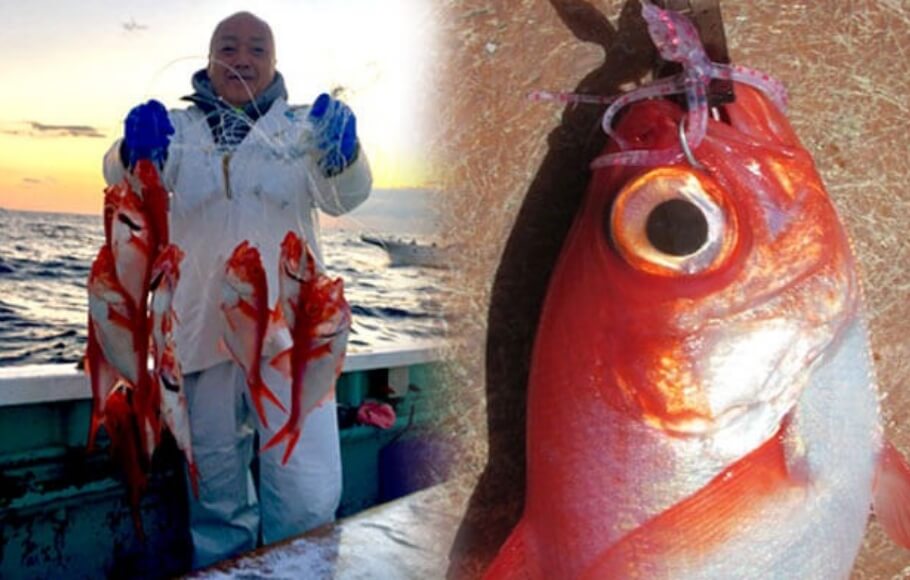 大物釣り・深海釣りに特化した専門性